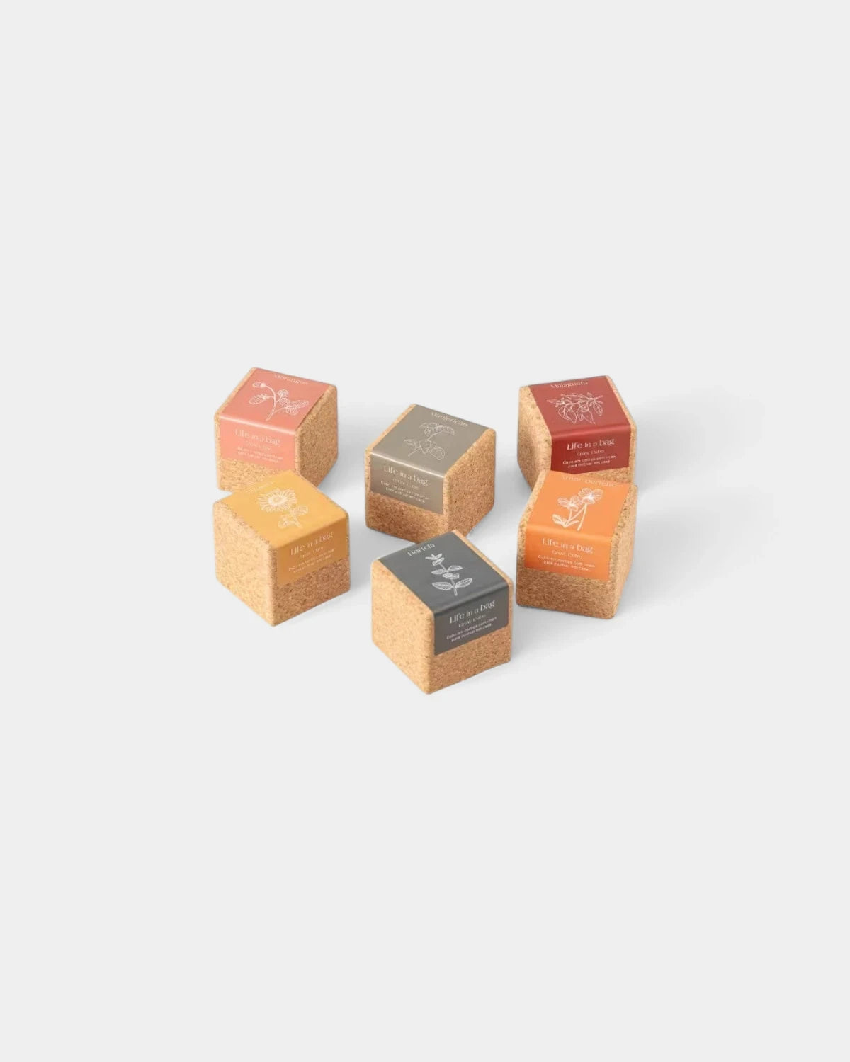 Grow Cube personalisierbar